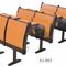 Classic Amphitheater School Meeting Room Chair Metal Frame Plywood Interlocked supplier